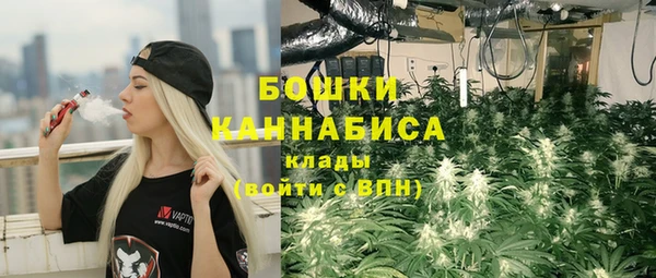 спайс Белокуриха