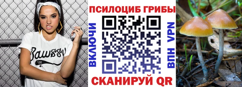 Псилоцибиновые грибы мицелий  Богородицк 